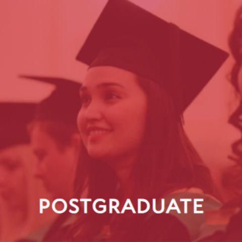 postgraduate-tt5E1DB1B0-9DEE-CEBB-F315-B30C89E667E9.jpg