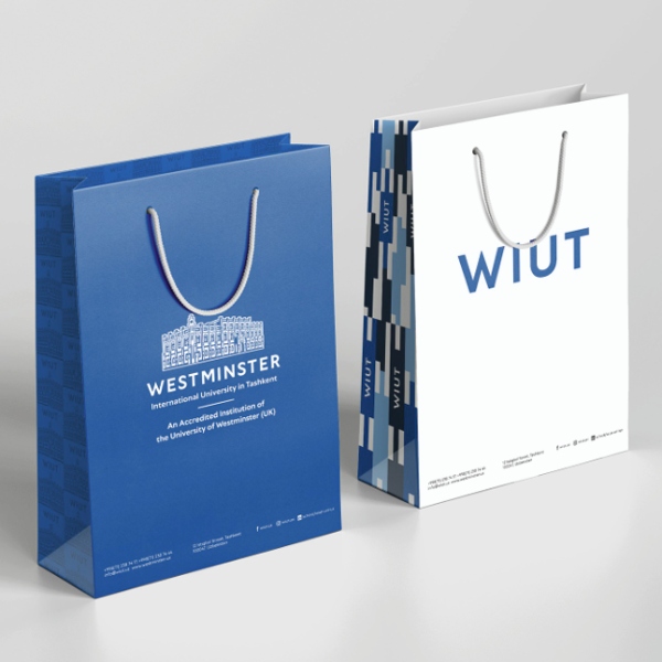 WIUT Hoodie